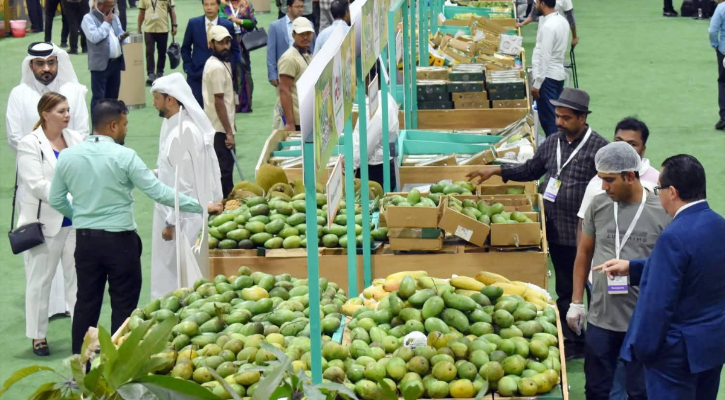 কাতার ম্যাংগো ফেস্টিভালে নওগাঁর সুমিষ্ট আম